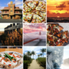 Instagram photo grid on a WordPress website